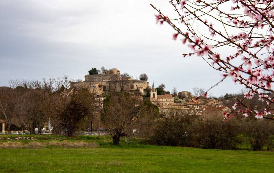 Bild: Blick auf Mane mit seiner mächtigen mittelalterlichen Zitadelle im Frühling im Département Alpes de Haut Provence  