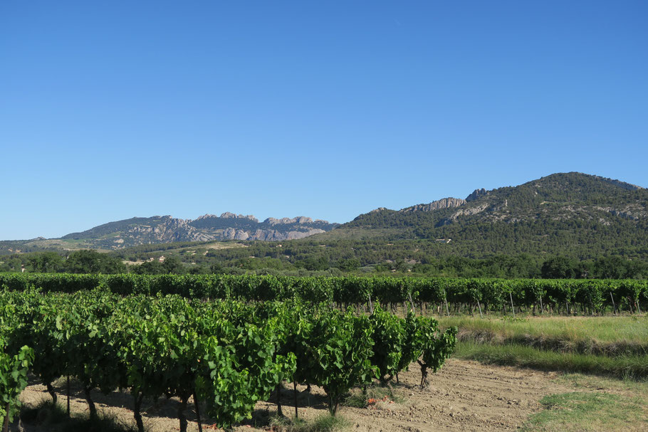 Bild: Dentelles de Montmirail