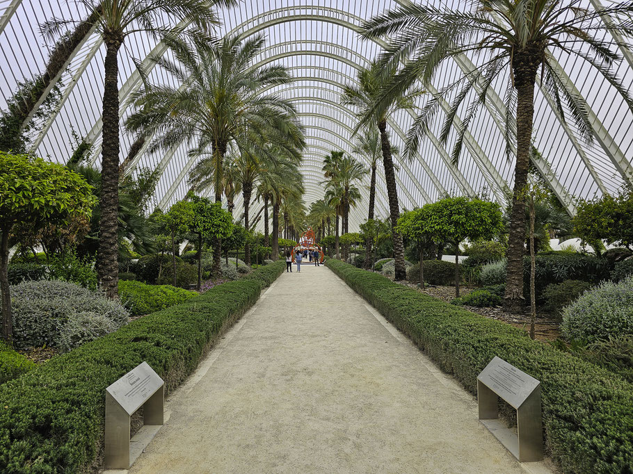 Bild: Umbracle im Ciutat de les Arts i les Ciències in Valencia