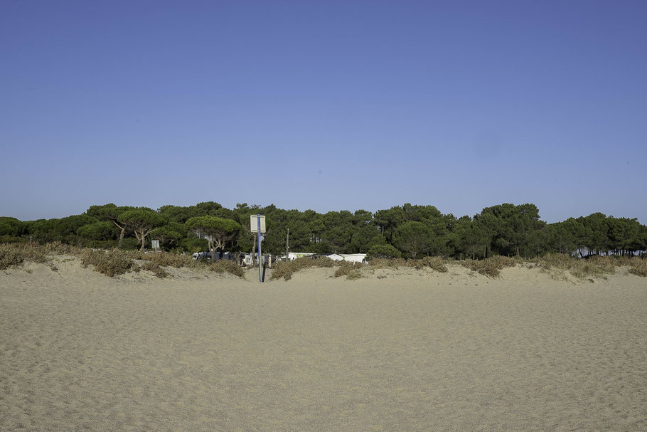 Bild: Campingplatz Le Roussillonnais in Argelès Plage 