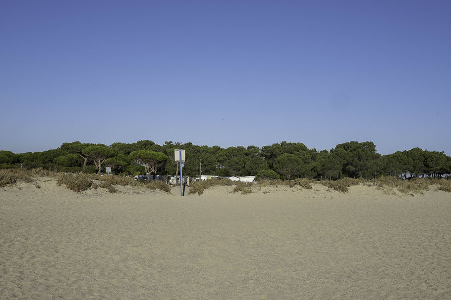 Bild: Campingplatz Le Roussillonnais in Argelès Plage 