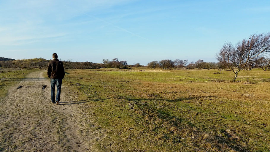 Wandelen De Zilk