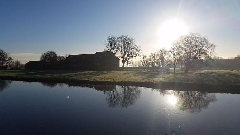 Zonsopkomst polder