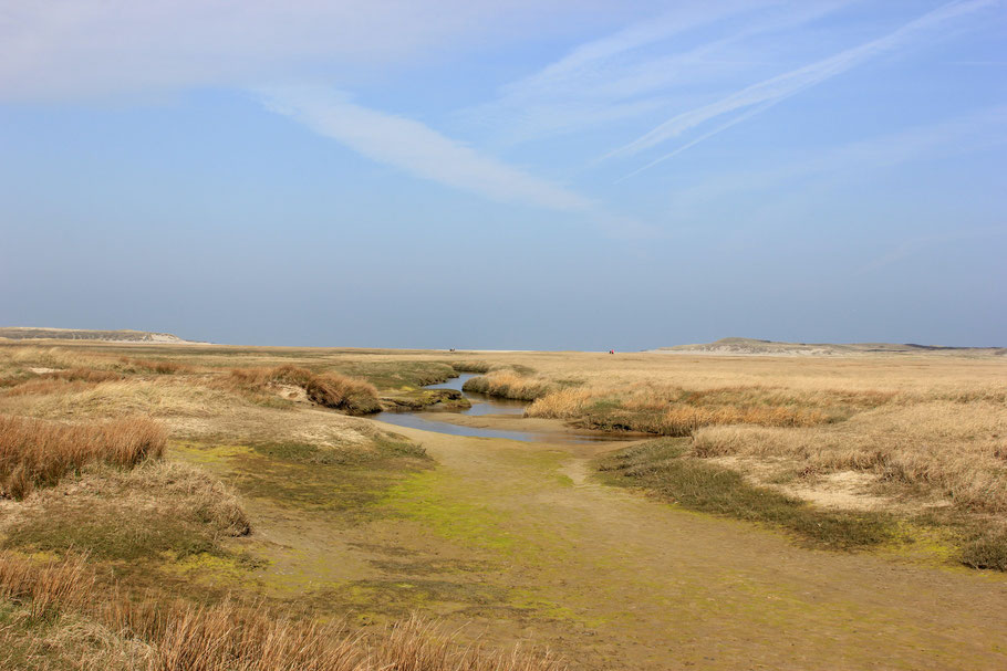 De Slufter Texel
