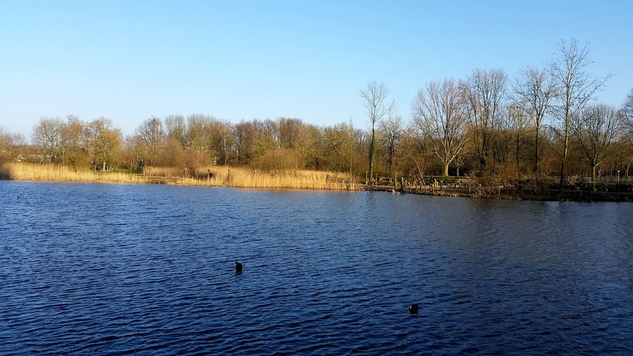 Park omgeving Leiden