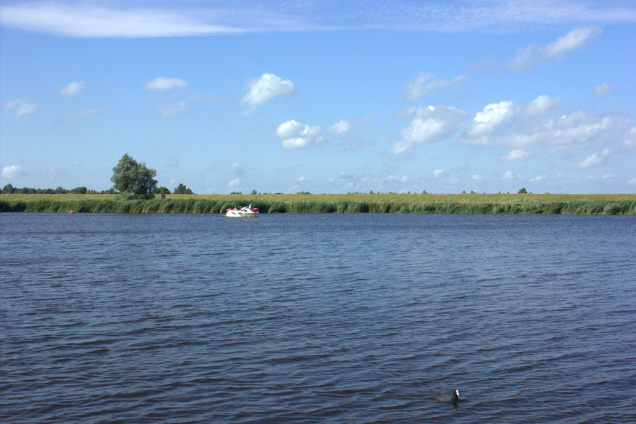 Steenbergse Vliet