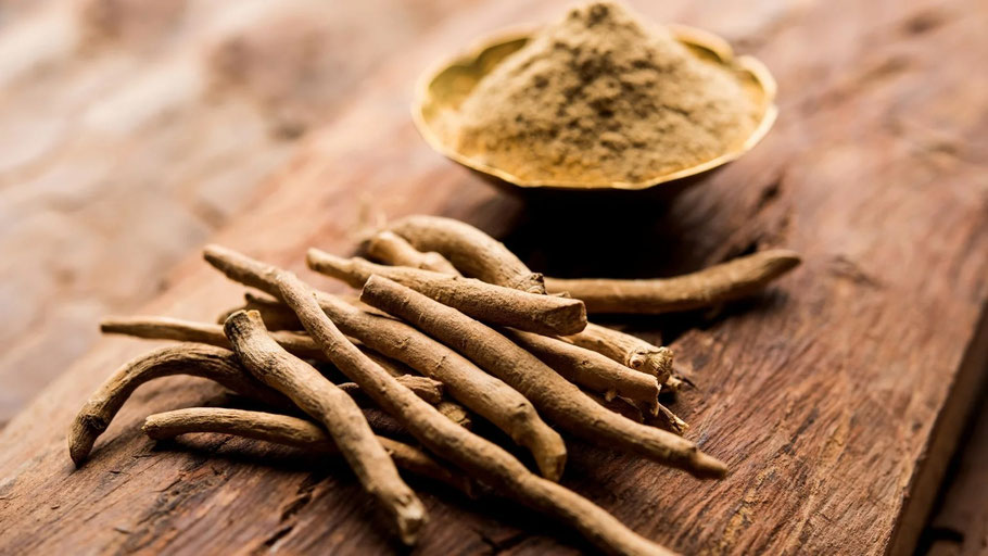 „Ashwagandha Kapseln BIO – Einnahme & Wirkung