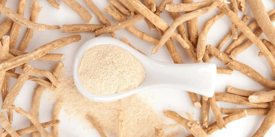 Ashwagandha Kapseln BIO – Wirkung, Anwendung, kaufen in der Schweiz