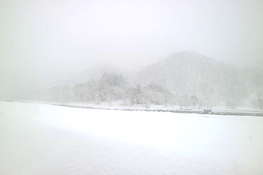 photo by Akiko Wake