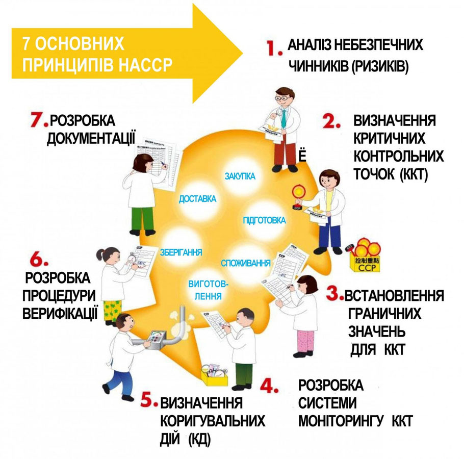 Впровадження системи НАССР - Сайт teremok45!