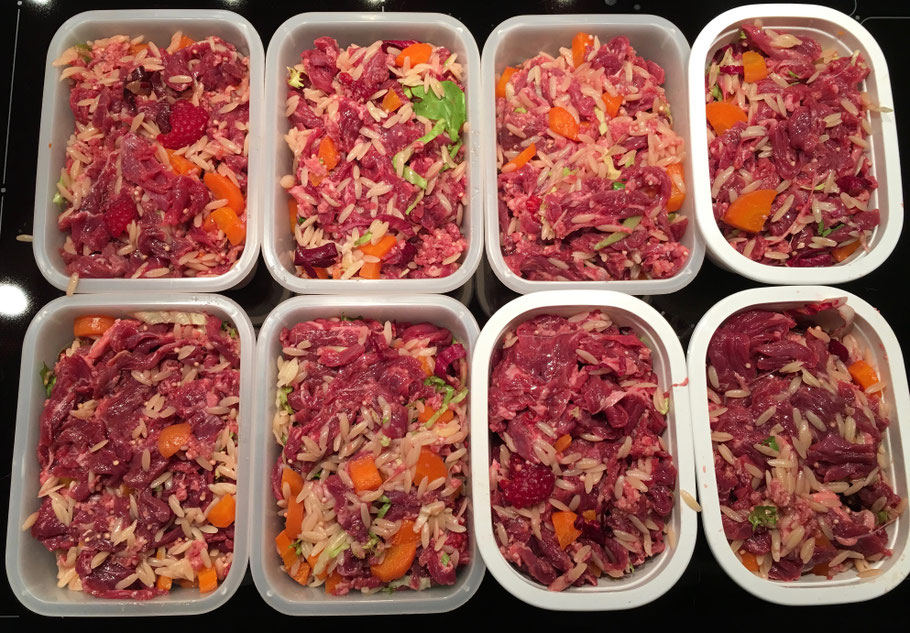 Barfrezepte für Hunde | hundkatzeschmaus.ch