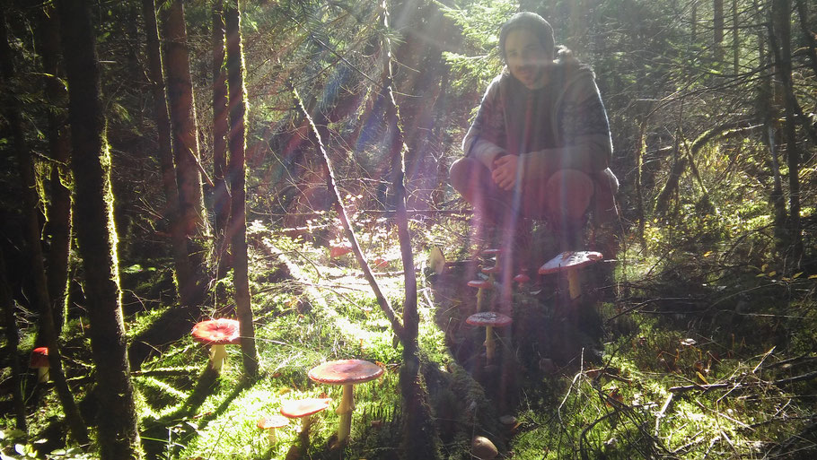 „Seit ich dich im Wald bei den Fliegenpilzen sitzen gesehen habe, weiß ich, dass du der Waldgott selbst bist“ (Wolfgang Bauer)
