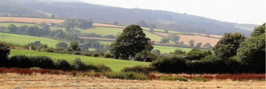 Photo of Lanreath Countryside