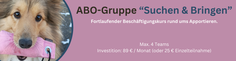 Link zum Gruppentraining Suchen und Bringen (Apportieren)