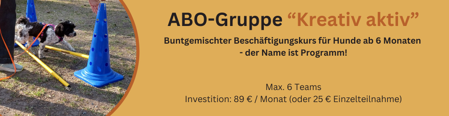 Link zum Gruppentraining Alltagstraining