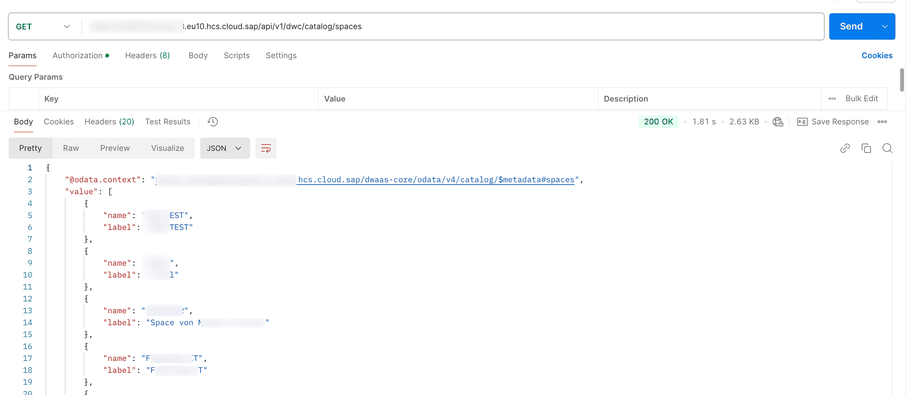 Result of SAP Datasphere API
