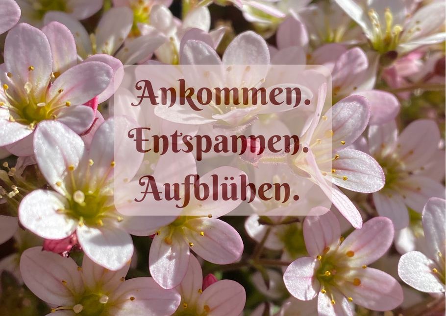 Ganzheitliche Therapie, Selbstbewusstsein, Körperwahrnehmung, Köper Geist und Seele, Bewusstsein, Entwicklung