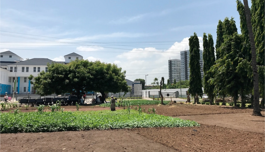 Urbaner Garten in Dar es Salaam, Tansania (Quelle: Titz & Chiotha 2019:15, 08.02.2020)