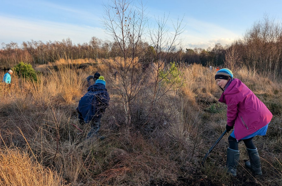 Foto: Naturdienst Himmelmoor