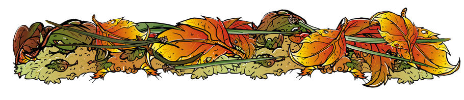 Trennlinie - Herbst Blätter