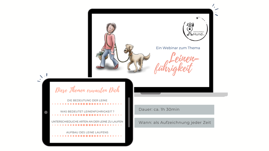 Webinar Ausschreibung 'Leinenführigkeit'