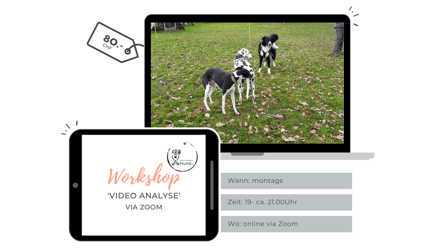 Ausschreibung Workshop Videoanalyse