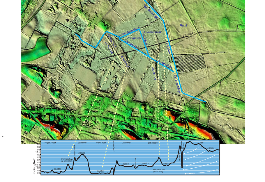 Hoogtetransect (lijn) door de Zumpe met waterlopen. De reliëffiguur is gemaakt van de AHN website. De witte stippellijnen geven de locaties aan.