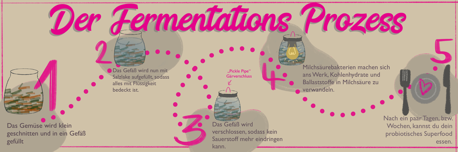 Der Fermentations-Prozess
