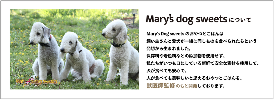 カフェルーマーおすすめ 愛犬にやさしい無添加のおやつとごはん Mary's dog sweets