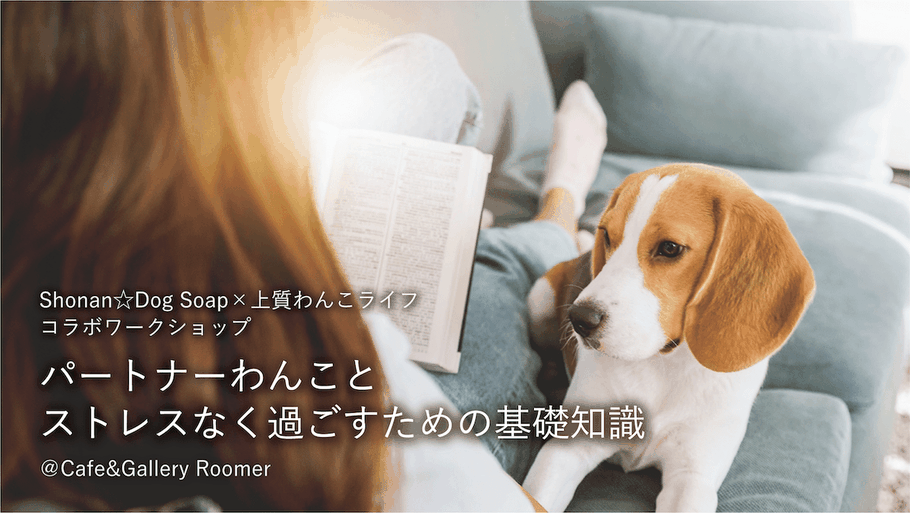 Shonan☆Dog Soap×上質わんこライフ コラボワークショップ 「パートナーわんことストレスなく過ごすための基礎知識」
