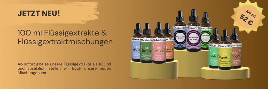 FLüssigextrakte Vitalpilze