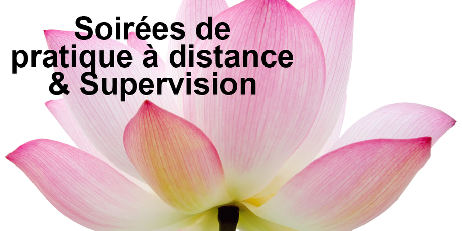 jolie terre avec nénuphar et fleurs