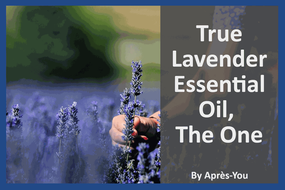 Photo blog True Lavender