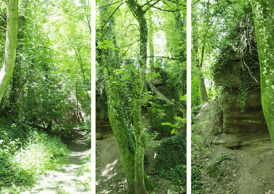 Bewaldetes Tal mit Sandsteinfelsen unter blauem Himmel - Treffpunkt Saarland