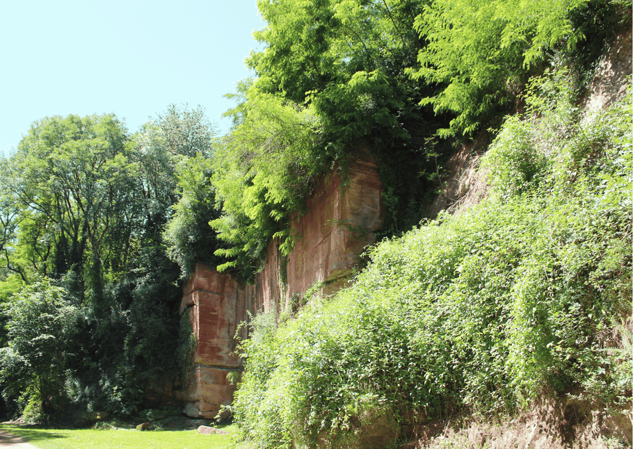 Rötliche Buntsandsteinwand im Wald mit Wiese davor - Treffpunkt-Saarland
