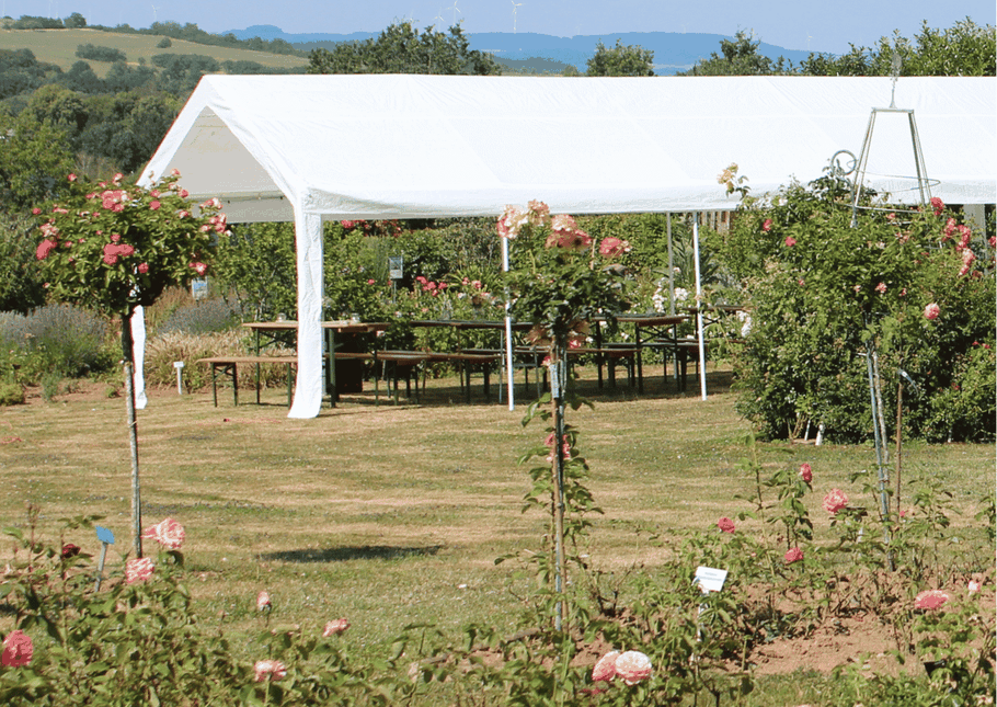Genügend Platz für große Partyzelte findet man im Welschbacher Rosengarten