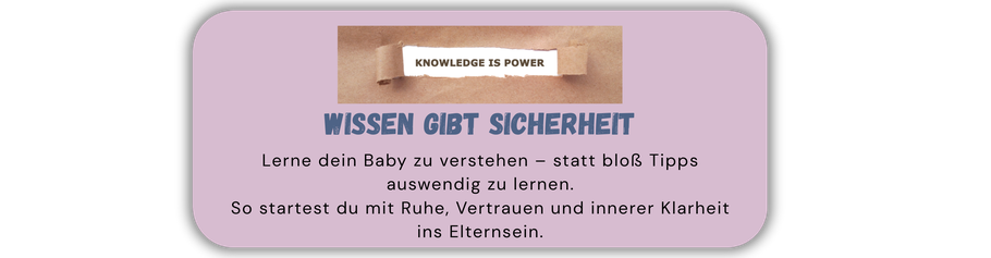 Sofortzugang + Lebenslanger Zugriff — lernen im eigenen Tempo.