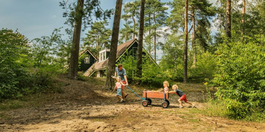 Landal Coldenhove plattegrond