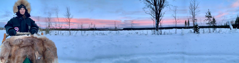 huskytour, sweden, arctic circle, greenlanddogs, vacation in sweden