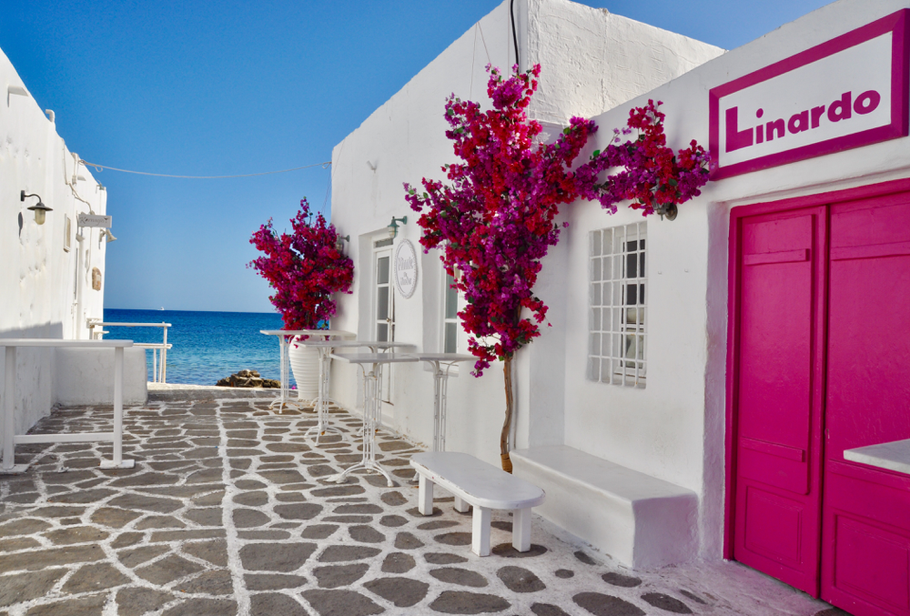 Paros Naoussa Reisebericht Meer Blumen