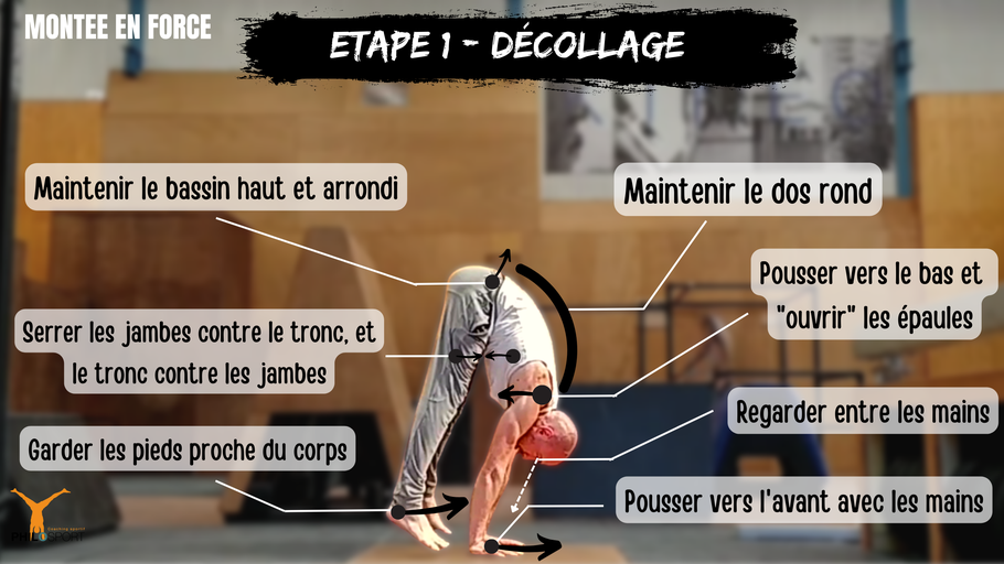 La position de départ de la montée en force