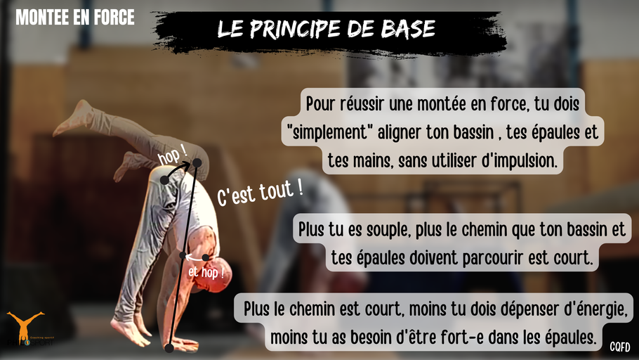 Comprendre la montée en force - press to handstand