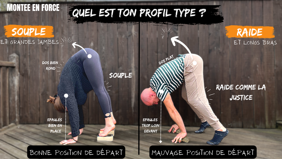 La montée en force - quel est ton profil ?