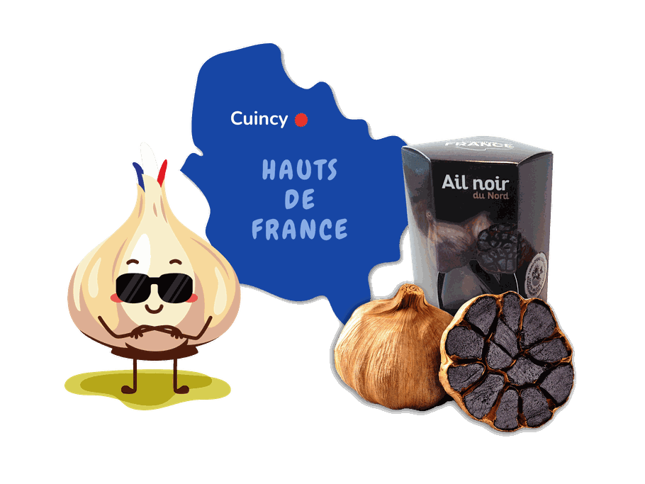 Knoblauch; schwarz; Ail; noir; du; Nord; Nordfrankreich; Frankreich; Umami; Japan; Korea; Cuincy; Potdevin; Knobi; Knolle; Kibu; Kibü; KibüWürze