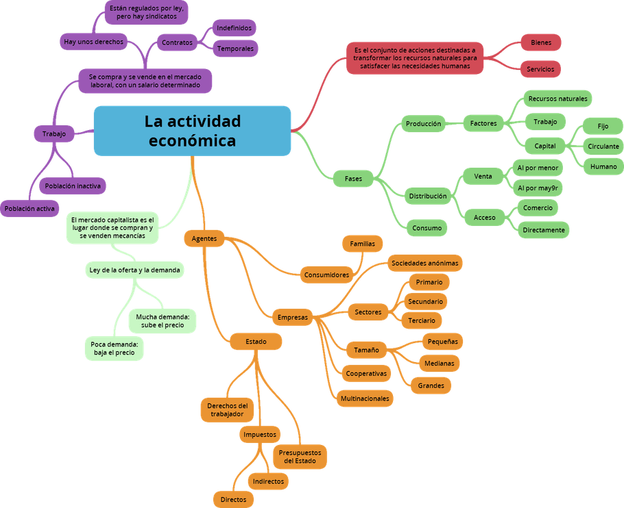 Esquema sobre la actividad económica: el "esquema del tema". Hecho con ExamTime.