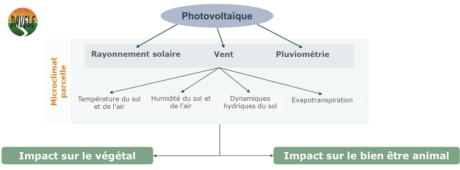 agrivoltaique