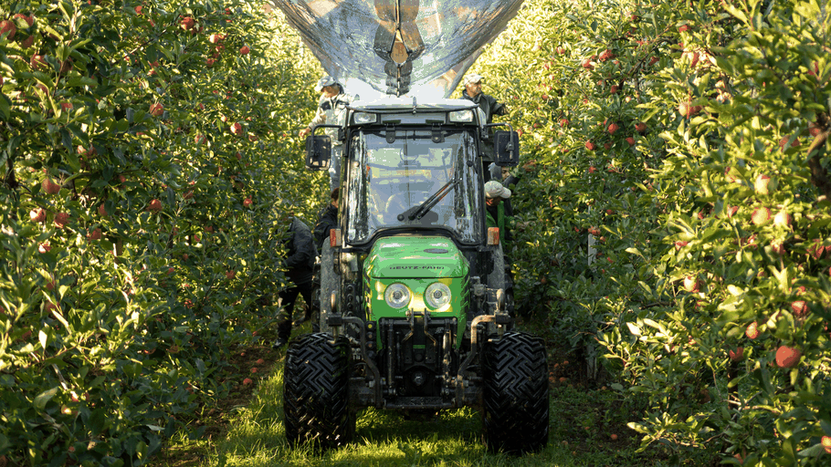 Arbeiter bei der Apfelernte mit einem Obsttraktor im Vordergrund