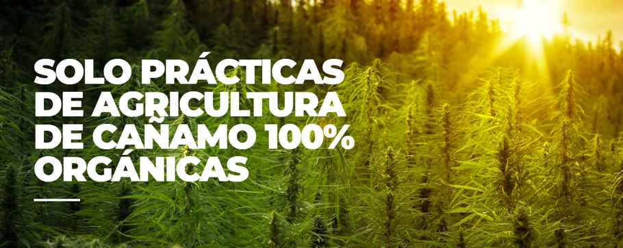 Aceite orgánico de cáñamo (cannabidiol o CBD) para uso sublingual de Nova Nano Hemp de Nova Network