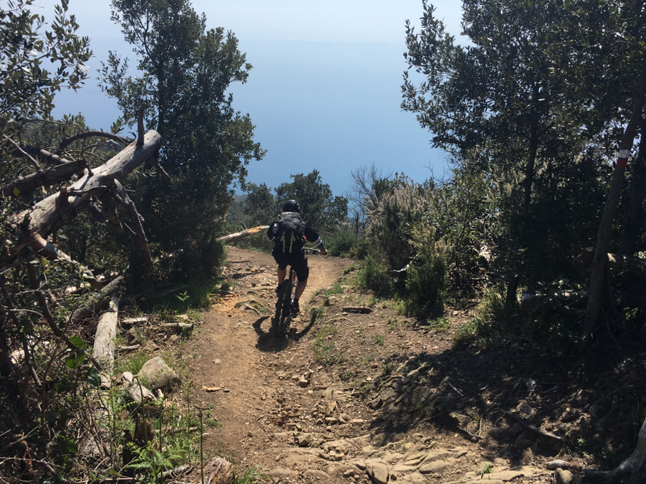 altro single track carino  anche se breve