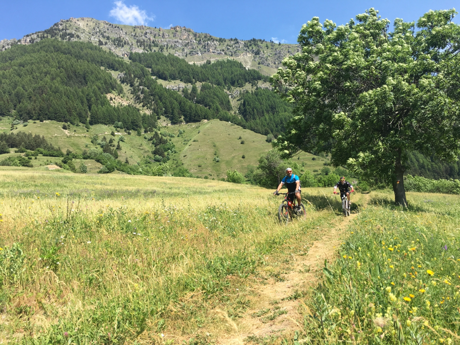 usciamo da un tratto boschivo in single track molto bello